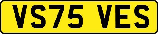 VS75VES