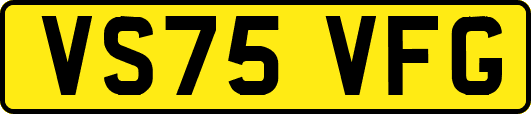 VS75VFG