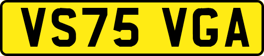 VS75VGA