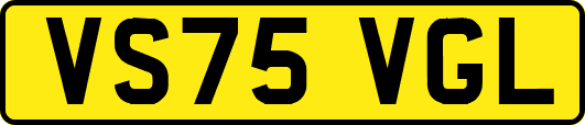 VS75VGL