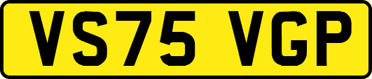 VS75VGP