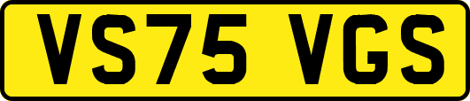 VS75VGS