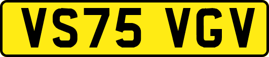 VS75VGV
