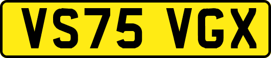 VS75VGX