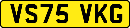VS75VKG