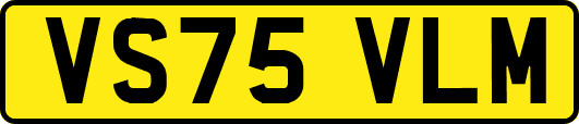 VS75VLM