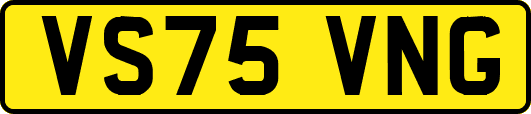 VS75VNG