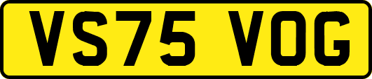 VS75VOG