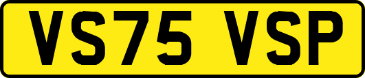 VS75VSP