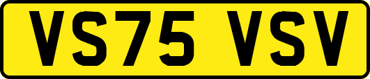 VS75VSV