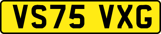VS75VXG