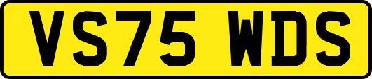 VS75WDS