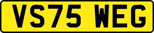 VS75WEG