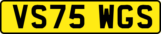 VS75WGS