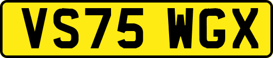 VS75WGX