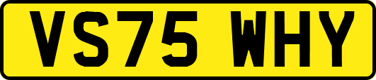 VS75WHY