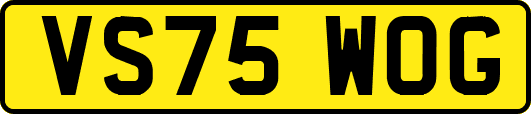 VS75WOG