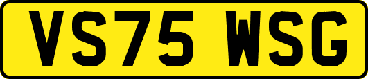 VS75WSG