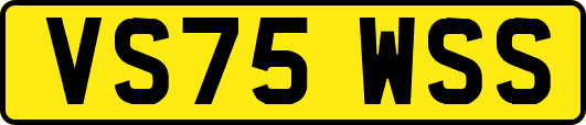 VS75WSS