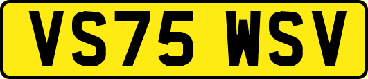 VS75WSV