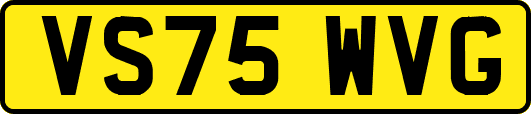 VS75WVG