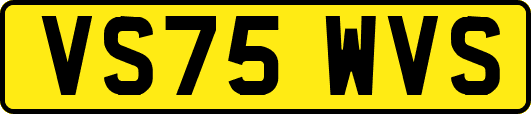 VS75WVS
