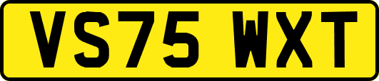 VS75WXT