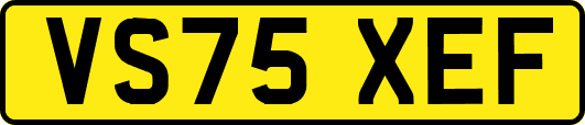 VS75XEF