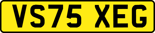 VS75XEG