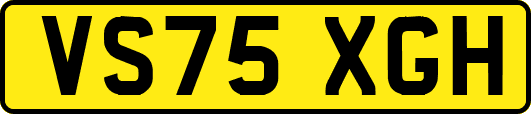 VS75XGH