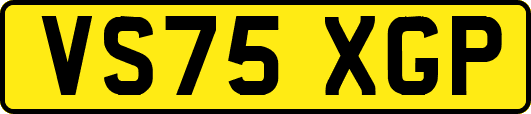 VS75XGP