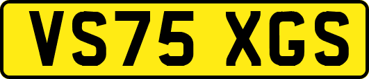VS75XGS