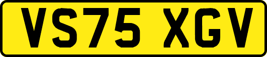 VS75XGV