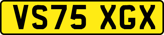 VS75XGX