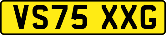VS75XXG