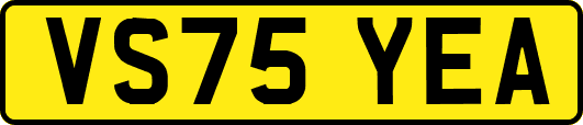 VS75YEA