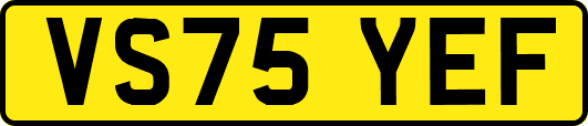 VS75YEF