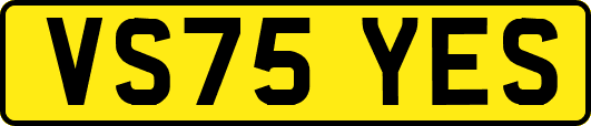 VS75YES