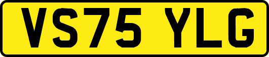 VS75YLG