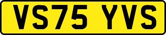 VS75YVS