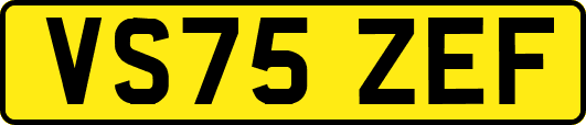 VS75ZEF