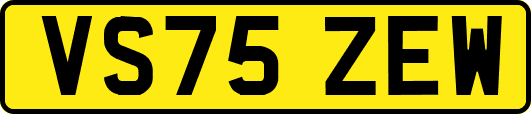 VS75ZEW