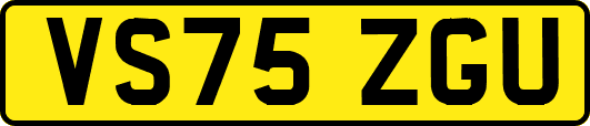 VS75ZGU