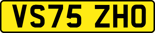 VS75ZHO