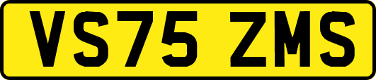 VS75ZMS