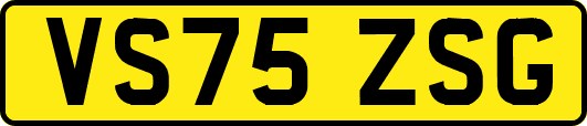 VS75ZSG