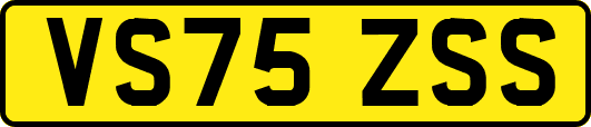 VS75ZSS