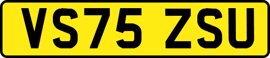 VS75ZSU