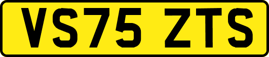 VS75ZTS