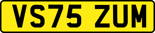 VS75ZUM